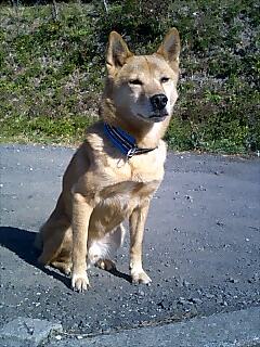 Photo_2